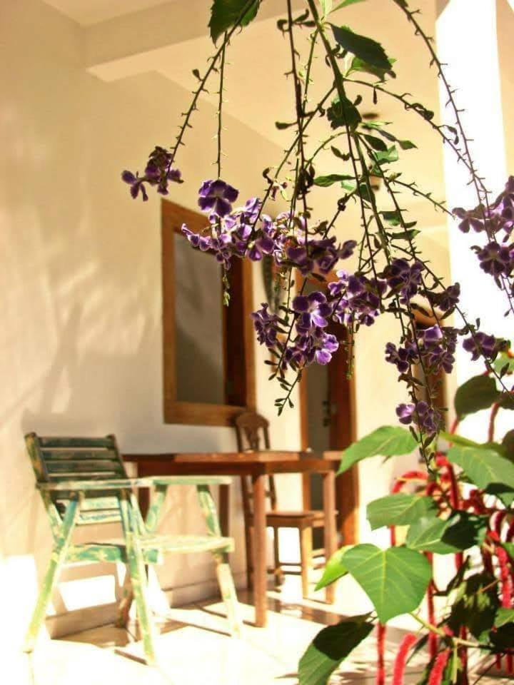 Pousada Villa Da Gama Парати Номер фото