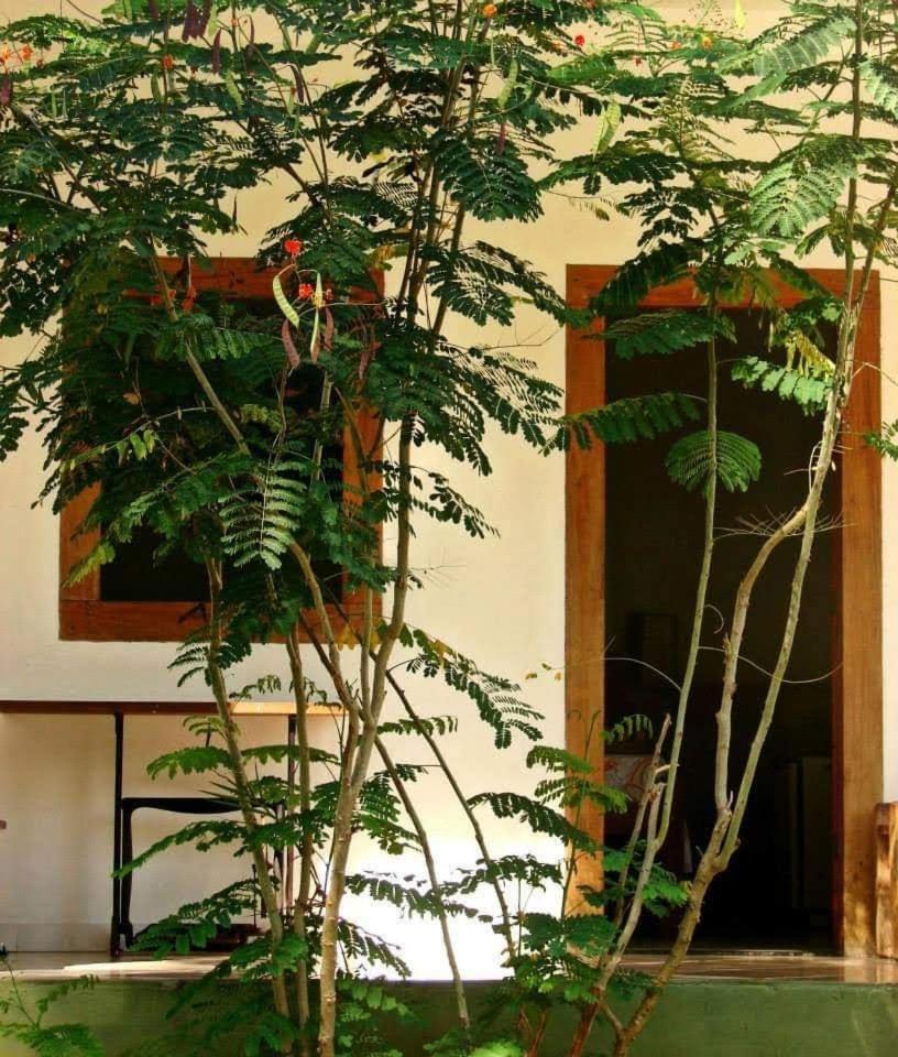 Pousada Villa Da Gama Парати Номер фото